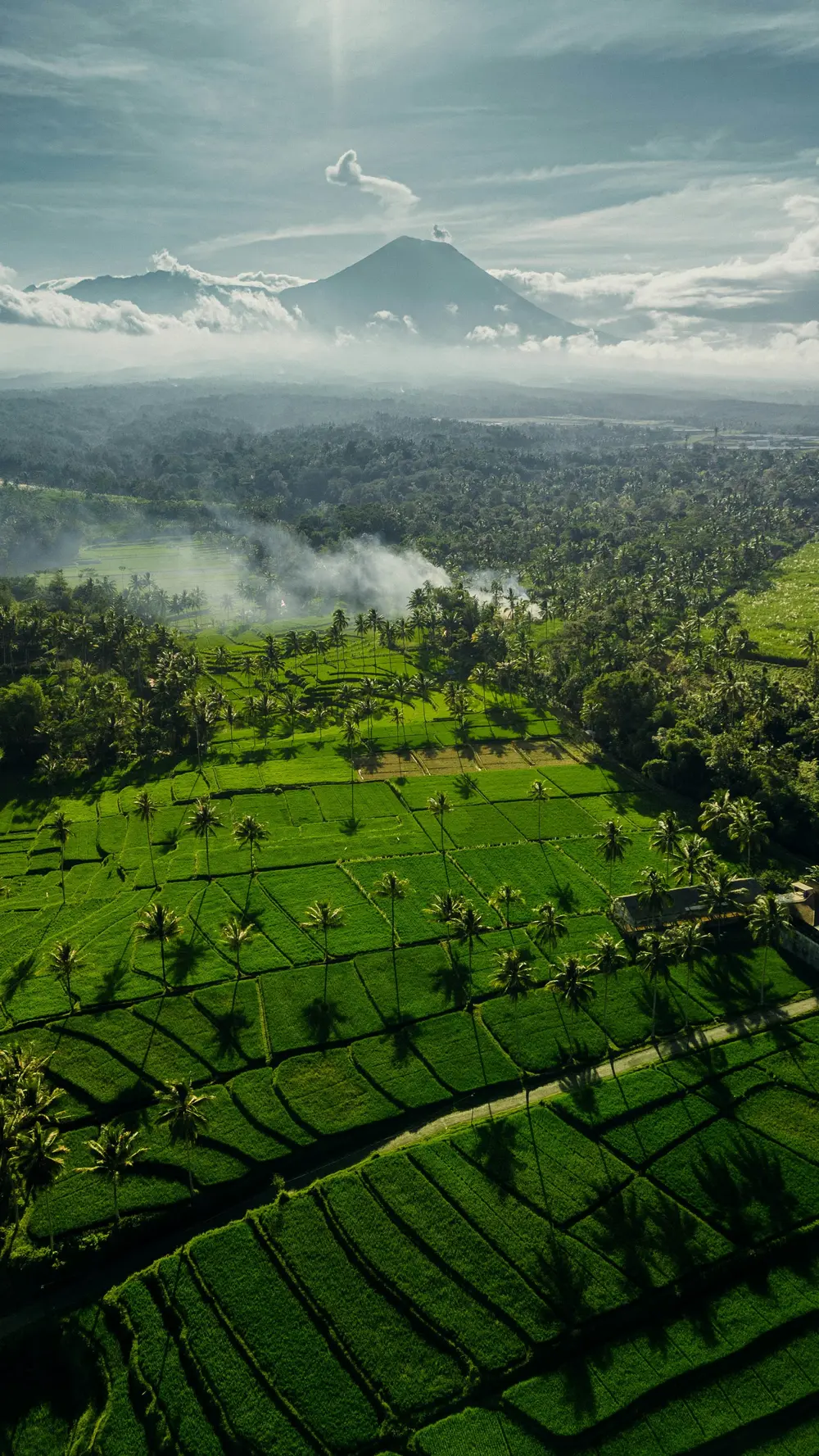 Ubud Tour